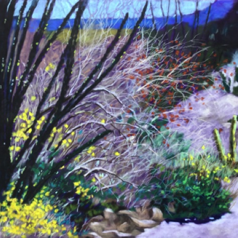 Anza-Borrego Desert
20x26